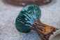 Preview: Glina Alien Bowl green brown Tree RAR 