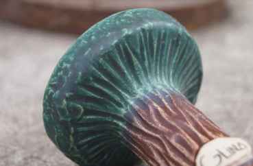 Glina Harmony Bowl Green Brown Tree RAR