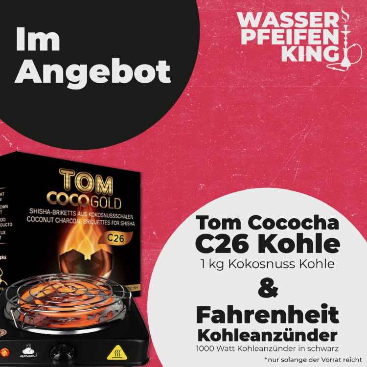 Angebot Kohlenanzünder 1000 Watt + 1 kilo Naturkohle