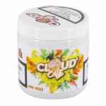 Cloud One 200 g 400 Volt