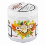 Cloud One 200 g Mangoana
